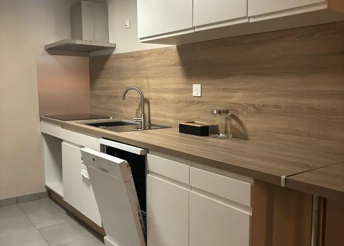 Appartement Plein Centre Epinal